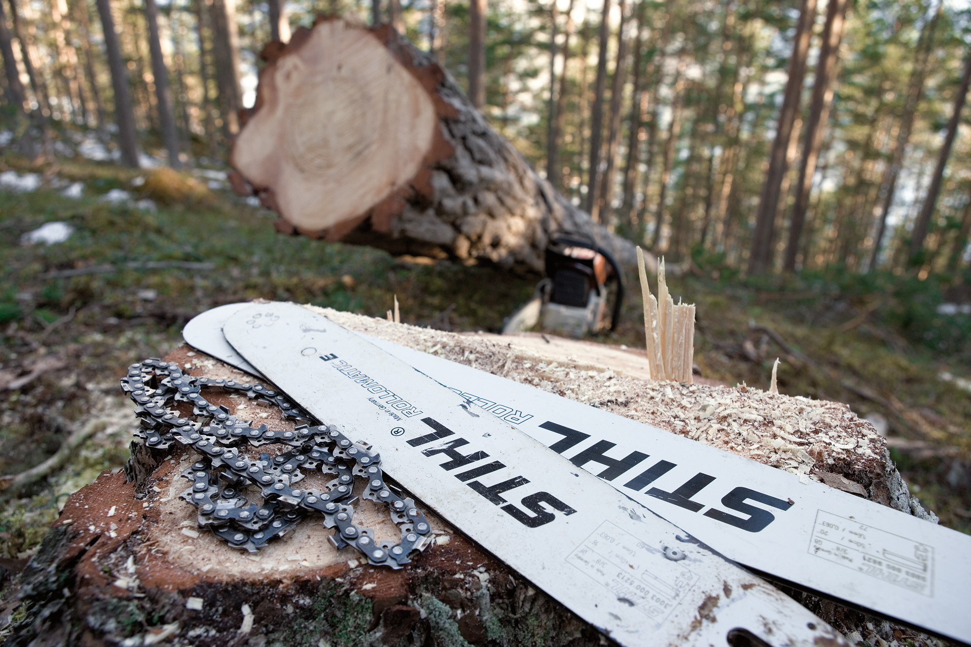 Två Rollomatic-svärd och sågkedjor som ligger på en trädstubbe i skogen