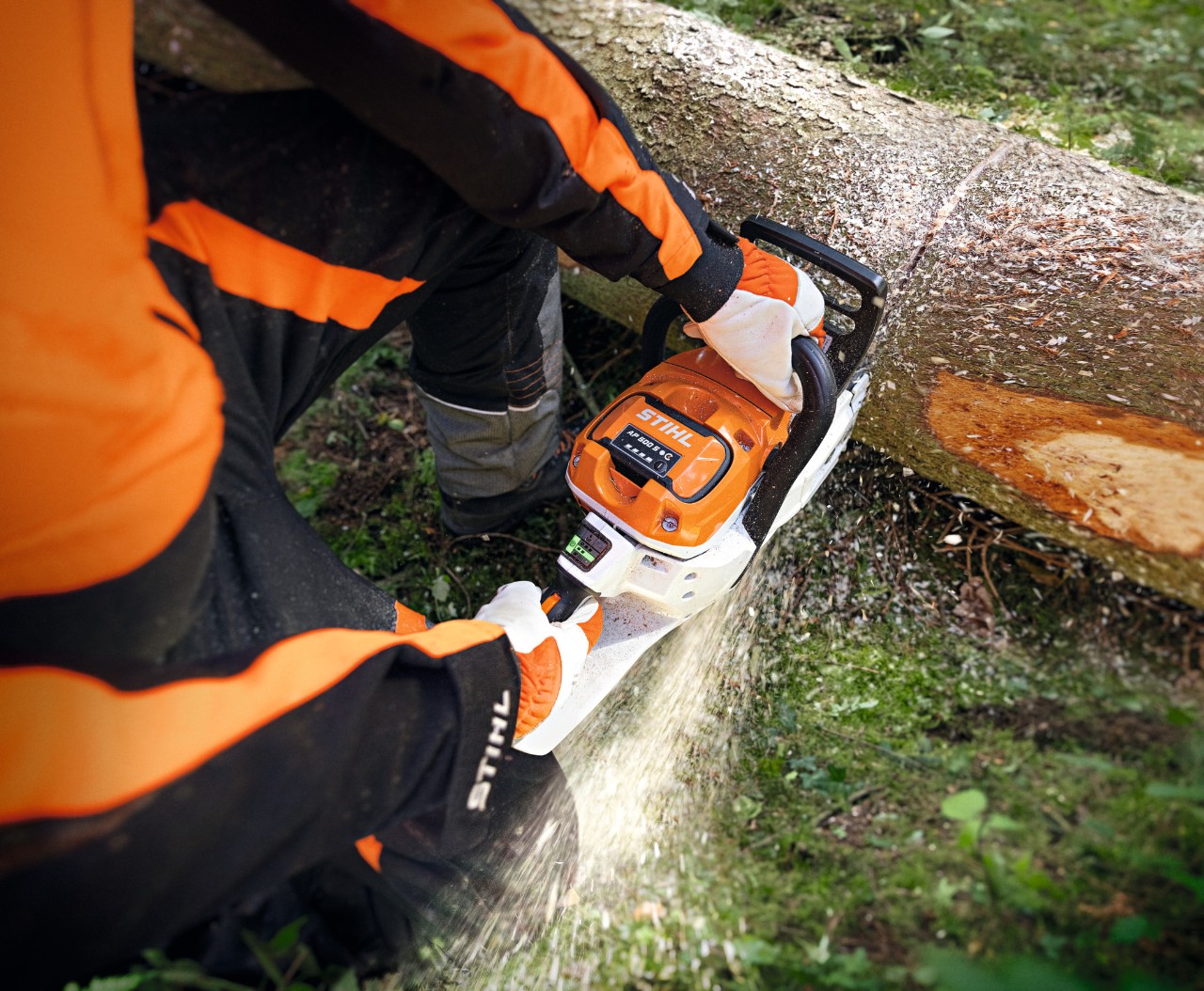 Närbild av en person som kapar en trädstam med en STIHL MSA 300 batteridriven motorsåg