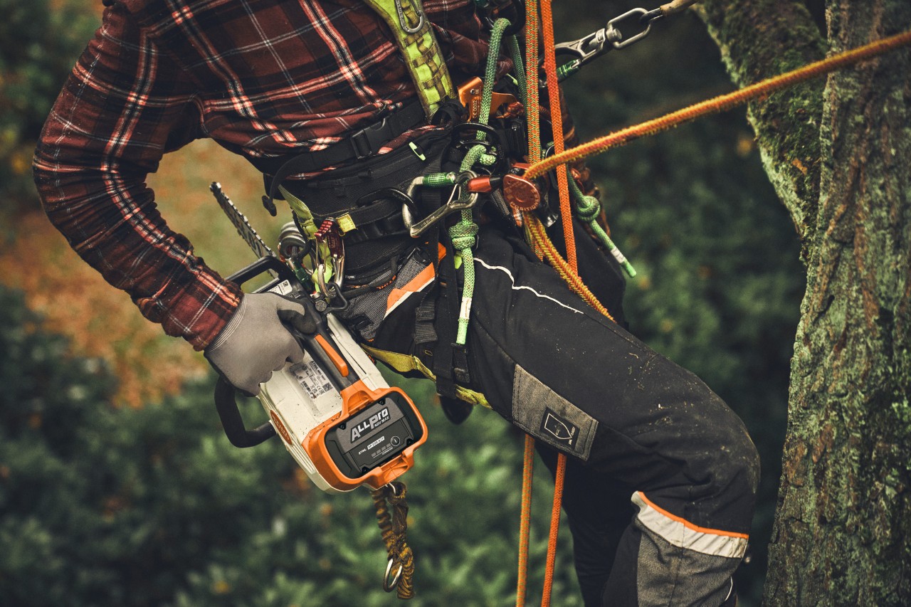 Närbild på en person som klättrar i ett träd med den sladdlösa motorsågen STIHL MSA 190 T.