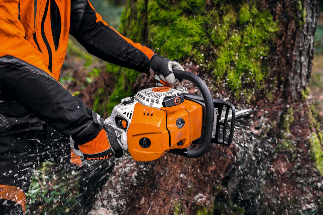 Närbild av en man som kapar en trädstam med en STIHL MS 500i motorsåg