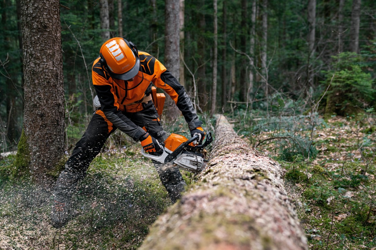En man med skyddsutrustning sågar fällda trädstammar med en STIHL MS 400 C-M bensindriven motorsåg med magnesiumkolv
