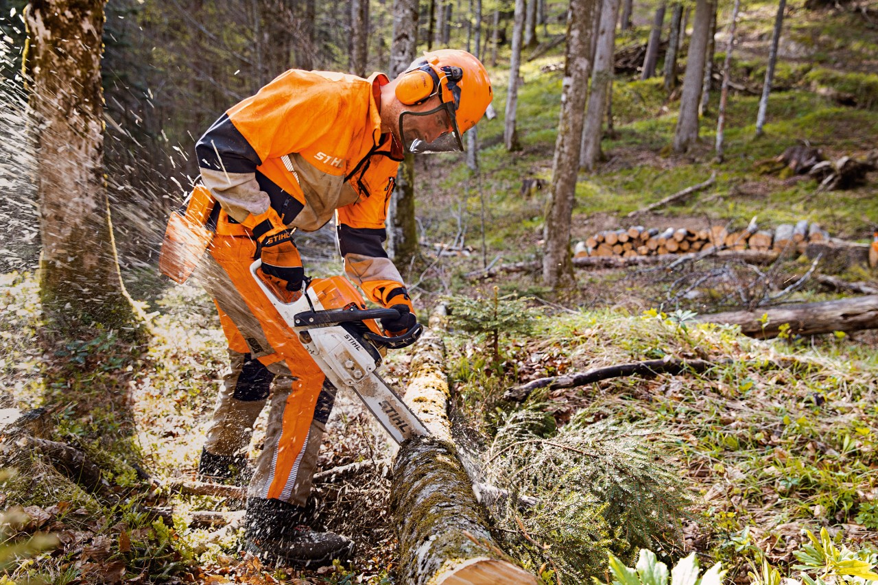 Skogsarbetare med STIHL skyddskläder och Dynamic Vent-byxor (skärskyddsklass 1) sågar träd i skogen med STIHL motorsåg