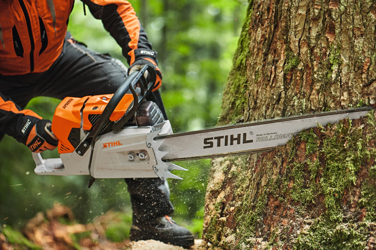 En person sågar ett träd med en STIHL MS 881 bensindriven motorsåg med ett sågsvärd med utbytbar nos