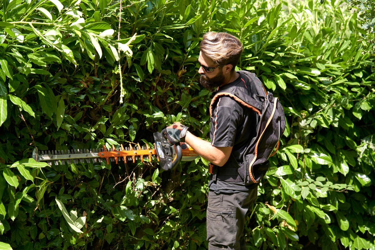 Proffs med skyddsutrustning klipper en häck med en STIHL batteridriven häcksax