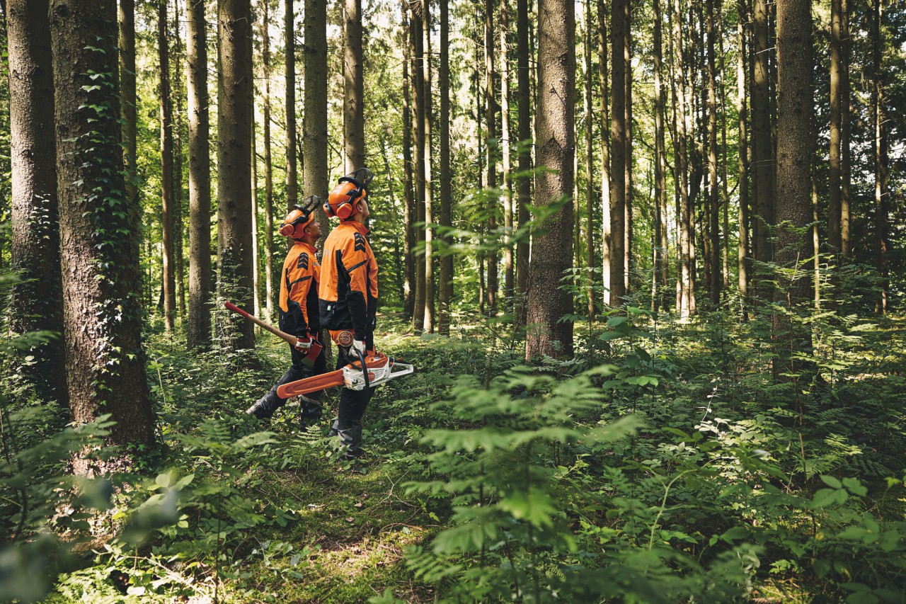 Skog