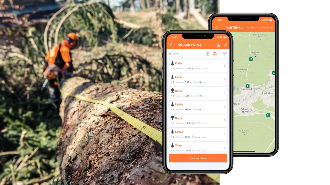 Arrangemang med ett träd med måttband och smartphone-displayer med STIHL Holzliste-appen