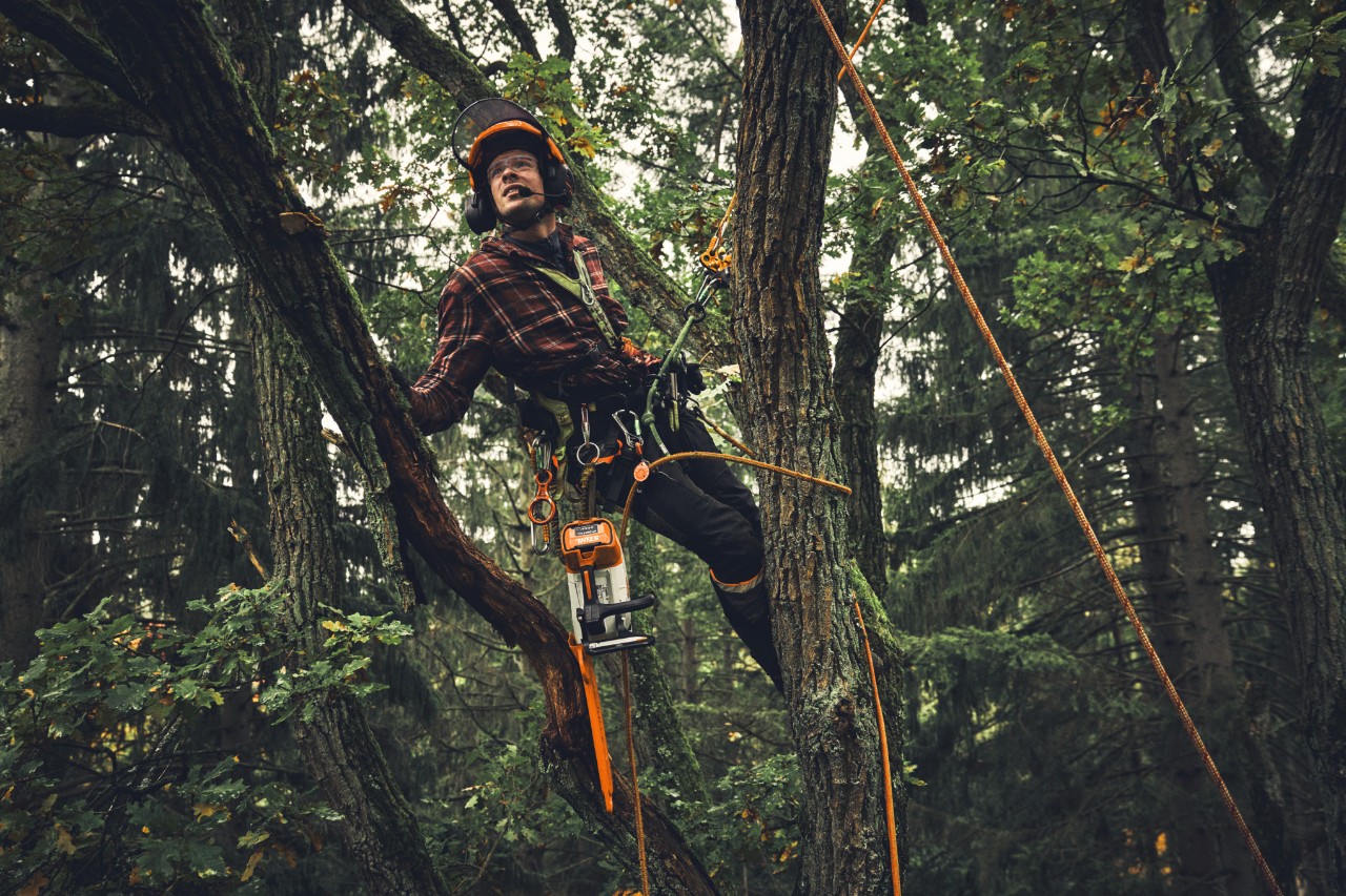 STIHL Advance X-Flex midjebälte