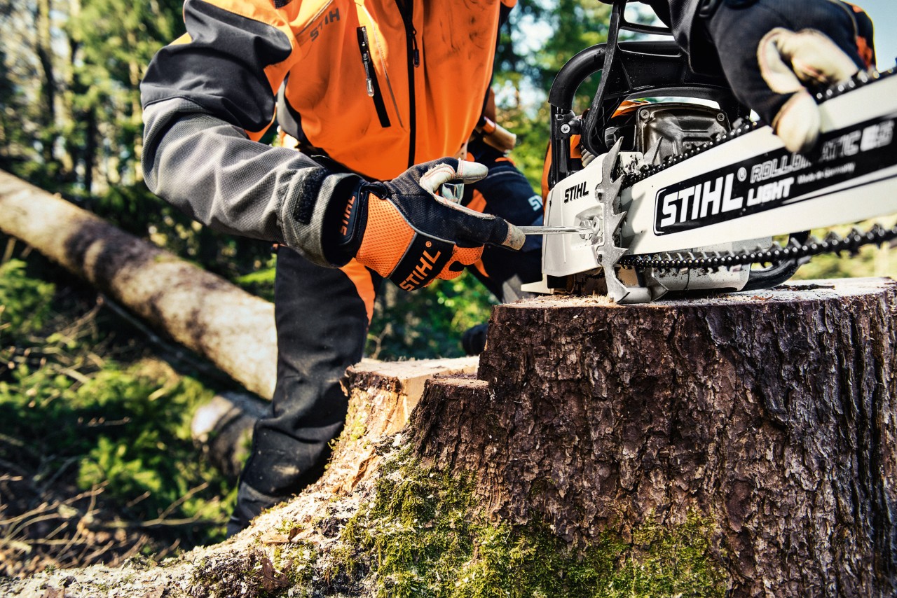 STIHL bensindriven motorsåg MS 461 på en stubbe, bakom står en person i skyddskläder