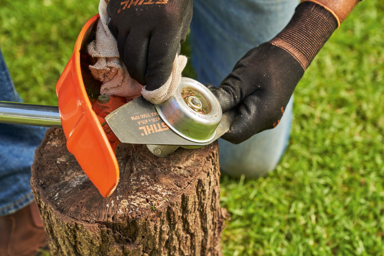 Bladet på en STIHL timmer rengörs med en fuktig trasa