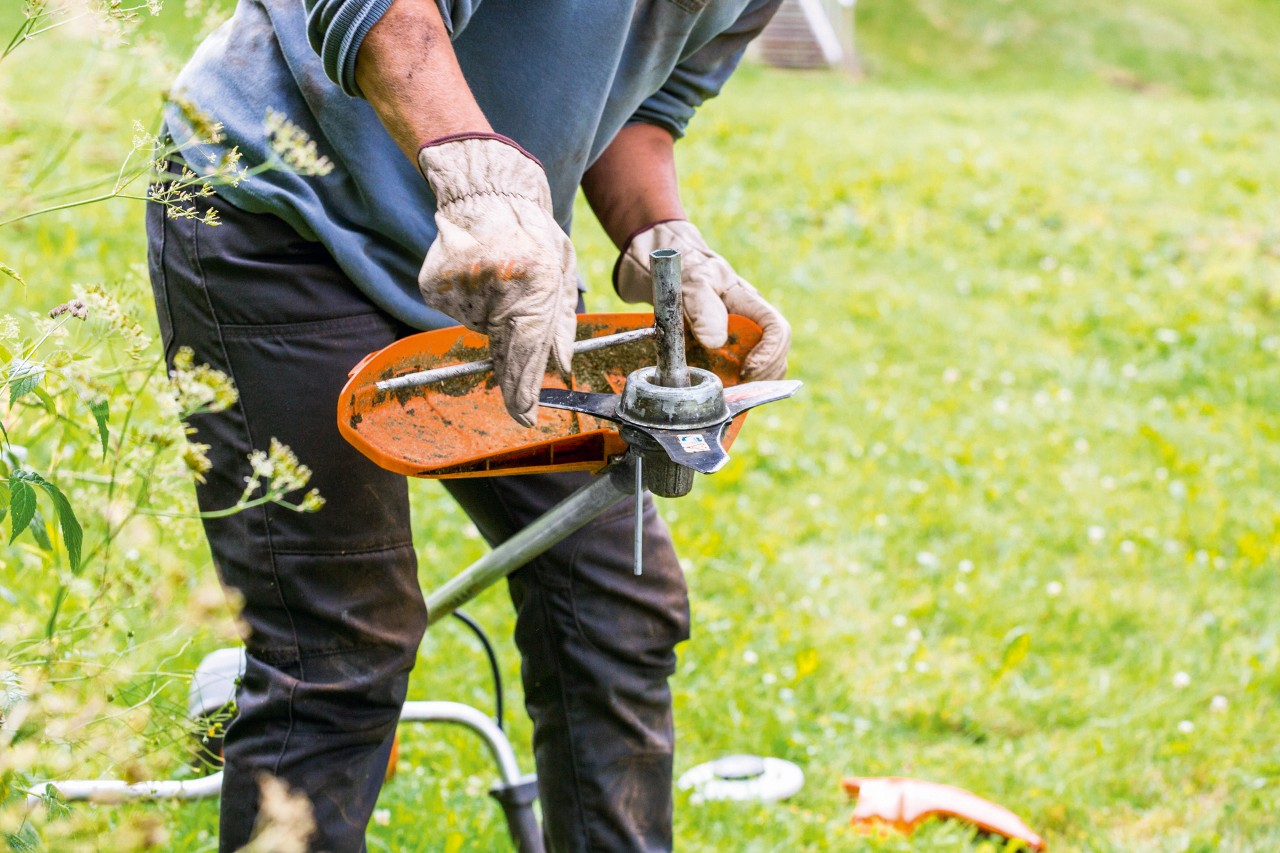 Trimmerhuvudet rengörs när underhåll utförs på STIHL FS 131 trimmer